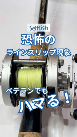 ドムドライバー　リールOH費用 シマノリールオーバーホール値段、納期はどれくらい